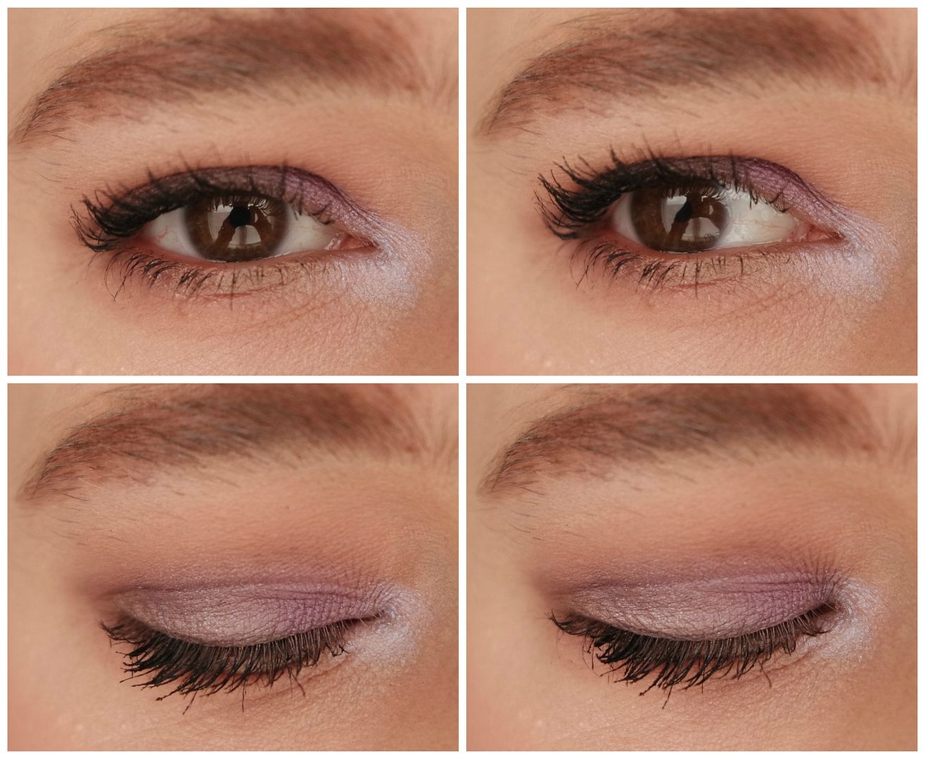 catrice superbia vol. 2 cool toned frosted taupe eyeshadow palette edition review swatch