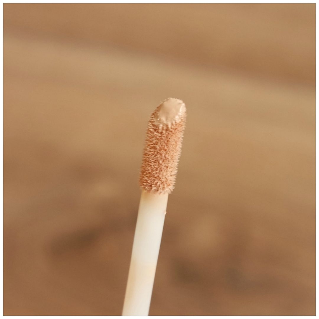 wet n wild photofocus review concealer swatch light ivory